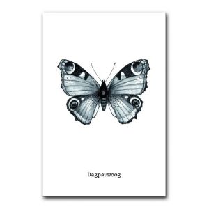 Kaart dagpauwoog vlinder zwart/wit BDDesigns 1
