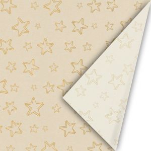 Cadeaupapier paperwise star (CWH) 2